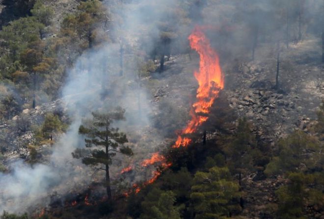 Έβαλαν φωτιά σε χαράδρα κοντά στο κρατικό δάσος για να ανάψουν καρβουνάκια ναργιλέ