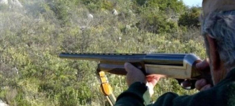 cache_980x637_Crop_medium_332702_102668_22_06_10_062456