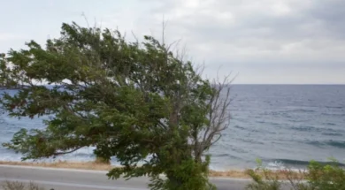 αερας 1