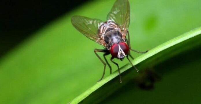 02ac738e4c71cdd9827d3f7b409fc326_xl-696×389