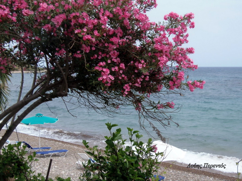 Αίθριος ο καιρός σήμερα – Στους 27 βαθμούς η θερμοκρασία