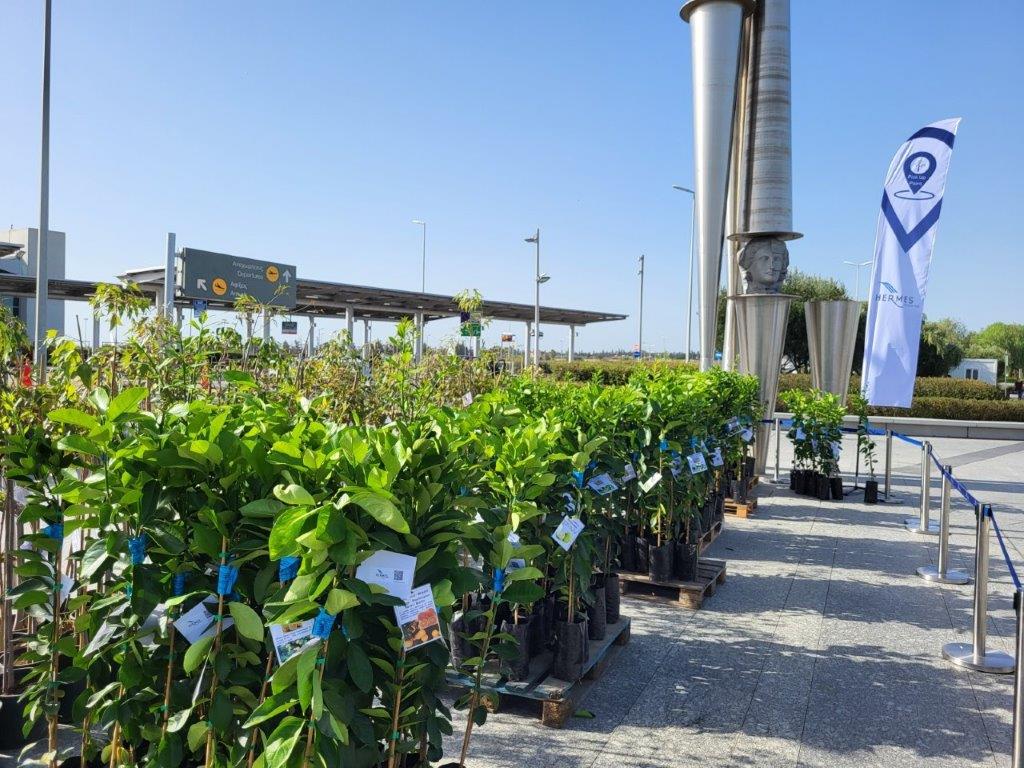 H Hermes Airports συνεισφέρει στο περιβάλλον προσφέροντας δωρεάν φυτά στο κοινό