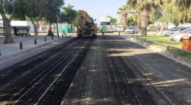 cache_980x637_Crop_medium_341080_166409_22_06_10_164106