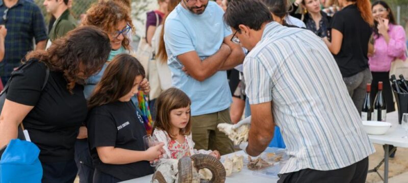cache_980x637_Crop_medium_853586_154805_24_10_22_092649