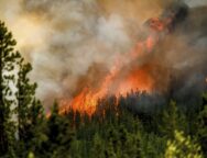 Canada Wildfires Smokejumpers Explainer