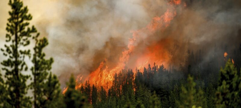 Canada Wildfires Smokejumpers Explainer