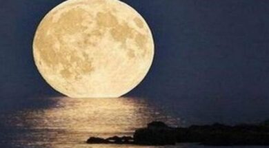 jhikqdiocc53e5e2f3cb7d6-696×418