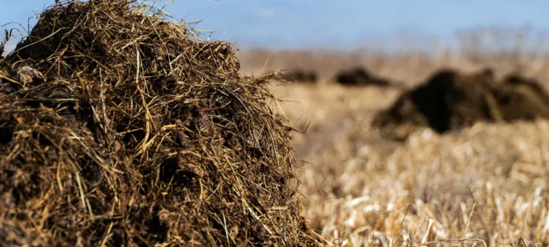 manure-farm