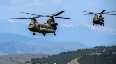 saschinook.webp (1)