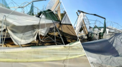 screenshot_2024-10-22_080229