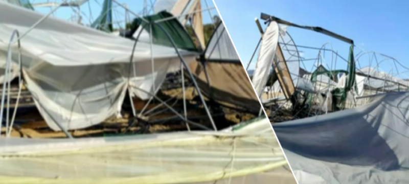 screenshot_2024-10-22_080229