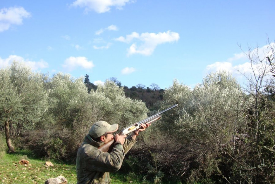 Πρώτη Κυριακή για πέρδικα και λαγό – Όλα όσα πρέπει να ξέρετε