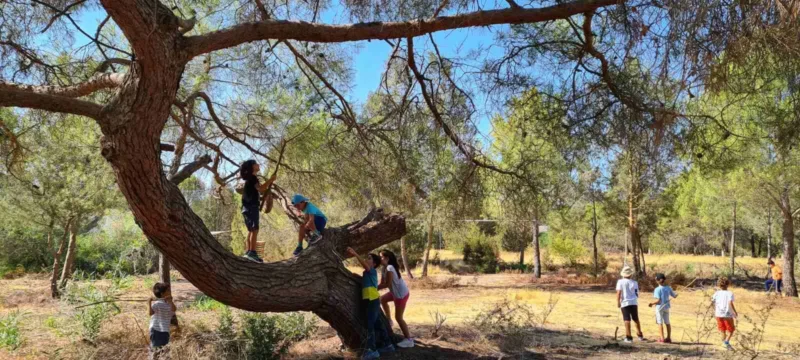 2021_09_06_193823-thumb