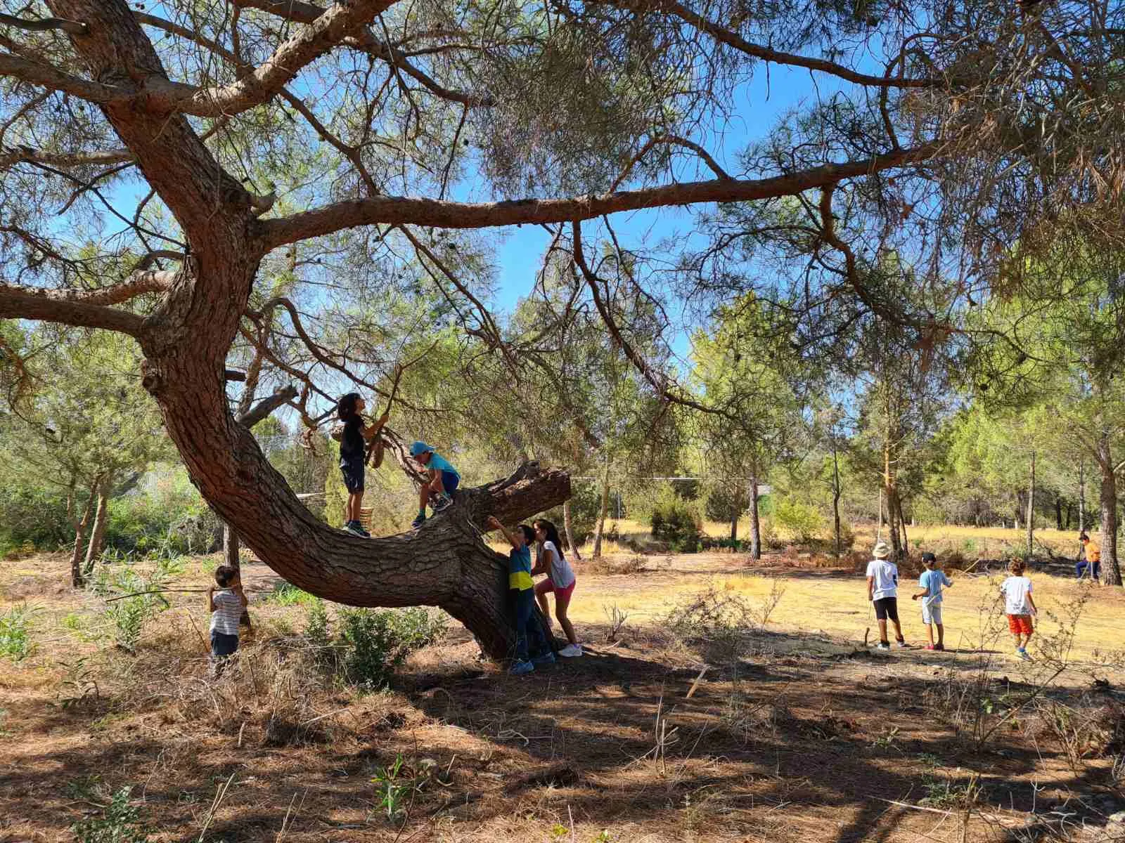 Ένα σχολείο χωρίς.. πόρτες και παράθυρα, κρυμμένο στο δάσος του Κόρνου