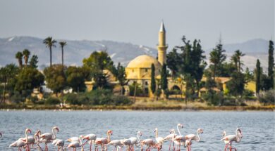 314360742_489725169857436_6961751491610487572_n