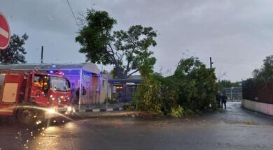 462541653_582038754287619_5680154325646321480_n