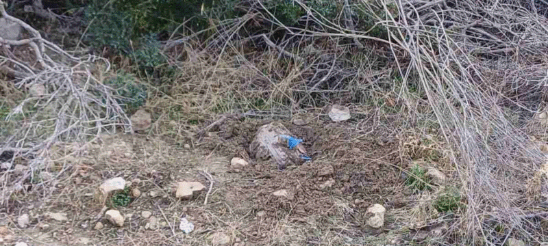 462541827_883604183550998_3859822051738883348_n