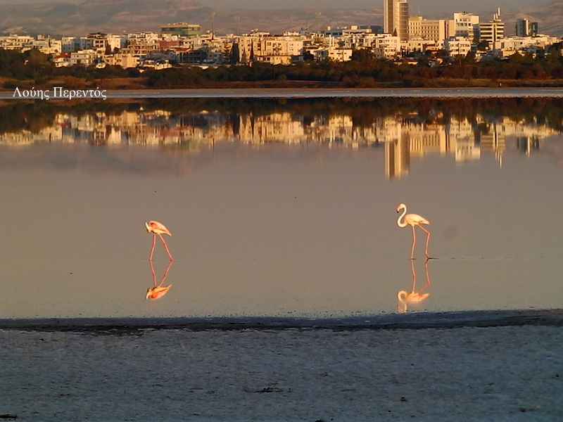 Λάρνακα:  Όμορφη και μικρή και πραγματικά αυθεντική