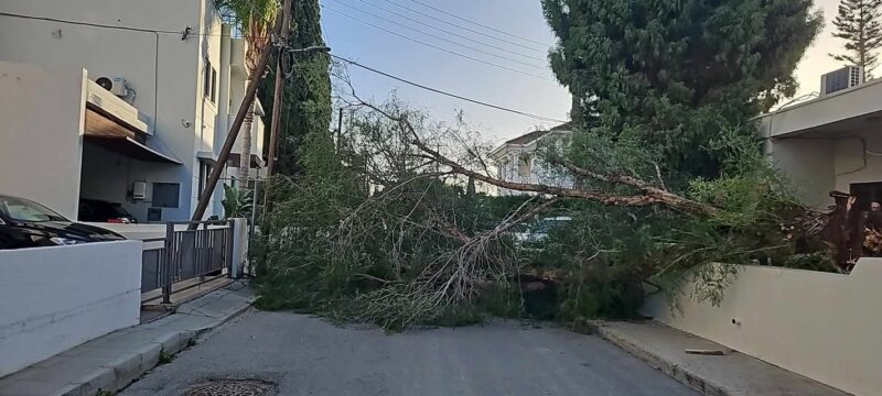 467464109_1117639273337665_7580645497418877686_n