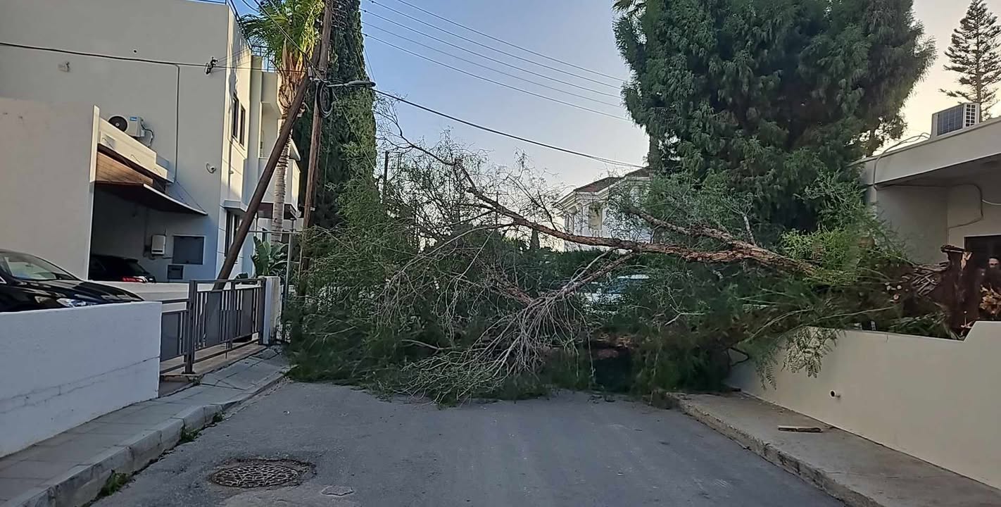 Οι ισχυροί άνεμοι έπληξαν και τη Λάρνακα: Έξω τα συνεργεία του Δήμου Λάρνακας – Χωρίς ρεύμα περιοχές