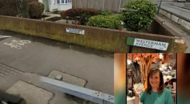 678687787867878-thumb