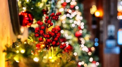 Christmas-image-for-website-scaled