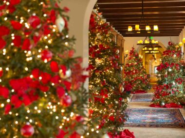 sea-island-the-cloister-FESTIVEHOTEL1021-a74964082fb74e40baf35a096eedf767