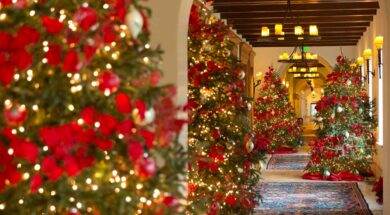 sea-island-the-cloister-FESTIVEHOTEL1021-a74964082fb74e40baf35a096eedf767