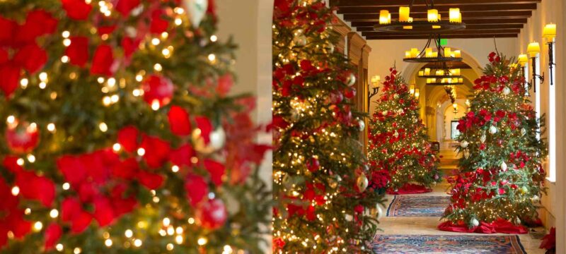 sea-island-the-cloister-FESTIVEHOTEL1021-a74964082fb74e40baf35a096eedf767