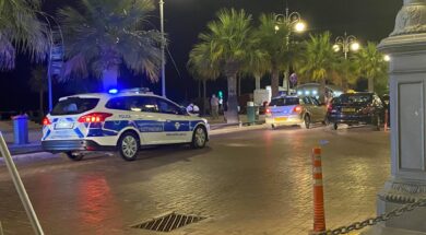 ΣΥΜΠΛΟΚΗ ΦΟΙΝΙΚΟΥΔΕΣ 1