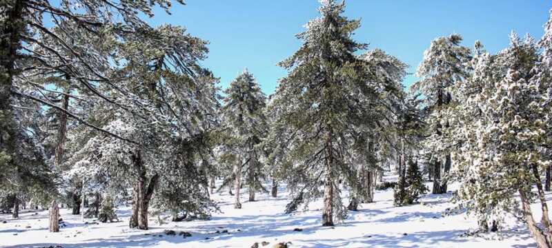 12549077_511550079021345_4531470414823553532_n