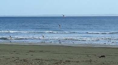 20190201_103232 (2)