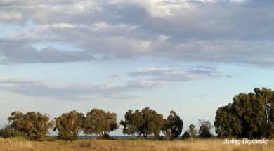 372847de-b4ef-4cf1-9b85-119dd78a4c72