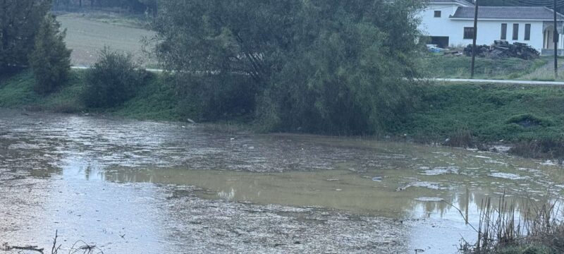 462638330_950665316969568_3126564376957980940_n