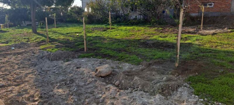 469380336_875277098118074_2078693535765793976_n