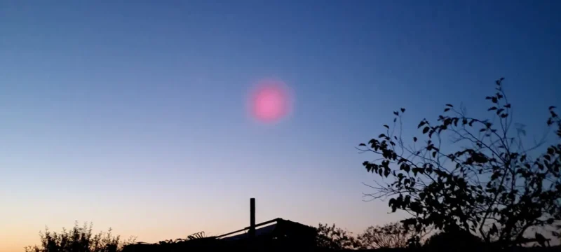 469449973_122180406212050674_1516717858941222333_n-thumb