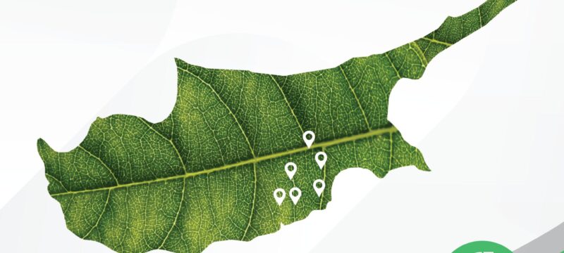 469554736_122131727354387889_1892016027151687849_n