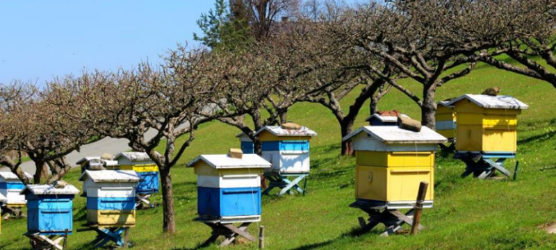 Screenshot_2883.2e16d0ba.fill-1375×729