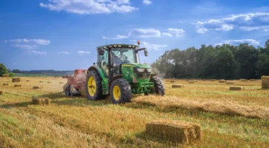 agrotes-770×489.png