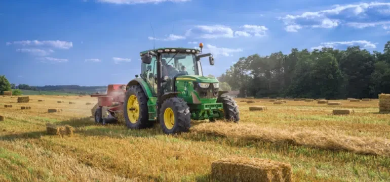 agrotes-770×489.png