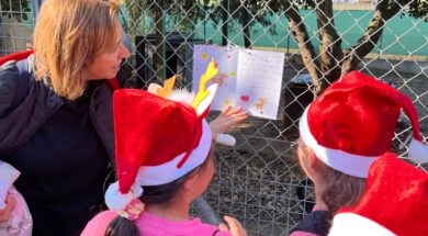 Επίτροπος Περιβάλλοντος στον προσωρινό χώρο φύλαξης σκύλων στο Παλιομέτοχο.