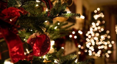 how-christmas-is-celebrated-around-the-world-686626