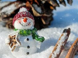 snow-man-1882635_960_720_1