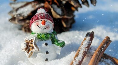snow-man-1882635_960_720_1