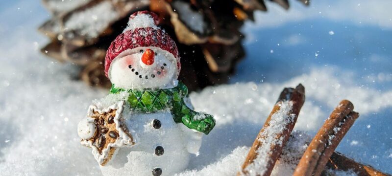 snow-man-1882635_960_720_1