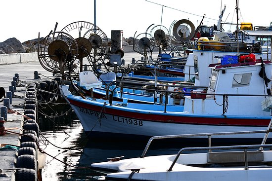 Καταγγελία ΠΑΣΥΔΥ: Ψαράς έβρισε και χτύπησε επιθεωρητή του ΤΑΘΕ