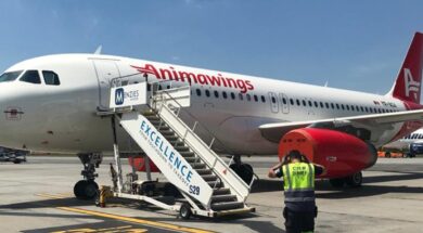 animawings