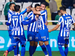 anorthosi-goal-gsp