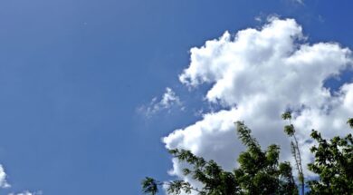 b_weather