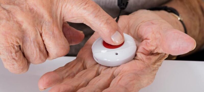 cache_980x637_Crop_medium_664803_97245_23_08_04_072343